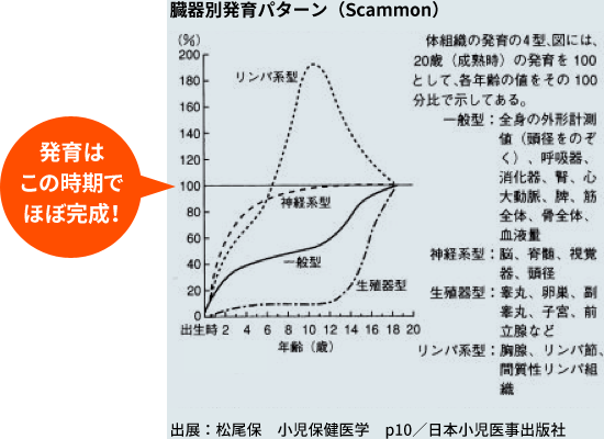 臓器別発育パターン（Scammon）